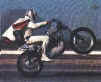 Evel Knievel pops a wheelie!  To see more,  click here!